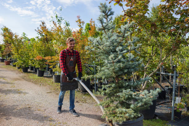 Lawn Watering Services in Fort Hall, ID